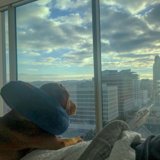 Urban Pup on a High-Rise Bed