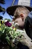 Whispers to the Wind: The Joy of Nature's Interaction