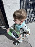 Wesley's Green Adventure in the Golden City