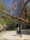 Walking in the gardens of Walt Disney Concert Hall