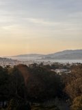 Overlooking the Urban Jungle