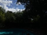 Tranquil Poolside View