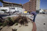 Urban Plant Picker