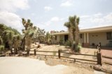 Summer Villa with Joshua Tree