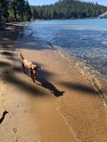 Summer Fun at Zephyr Cove