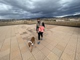 Rooftop Walkies