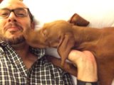 Man's Best Friend