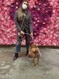 Blooming Companion
