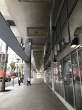 Urban Pathway Filled with People and Cars