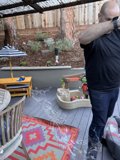 Summertime Backyard Moments