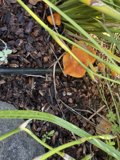 Hidden Forest Treasures