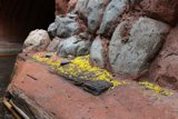 Blooming Rocks