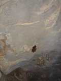 Hanging in the Cave