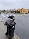 Urban Nature - Crow's Roost