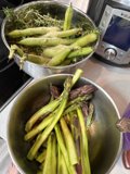 The Joys of Green Cooking