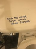 Flushing the Japanese Village Plaza Toilet