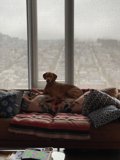 Relaxing with My Best Friend