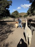 Pastoral Moments in Carmel