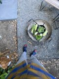 Harvest Time on the Patio