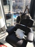 Double Trouble on the Armchair
