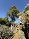 Exploring the Desert Oasis