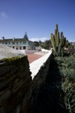 The Eclectic Harmony of Nature and Architecture