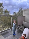 Cloudy Carmel Days with Little Wesley