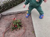 Autumn Adventures: The Young Gardener