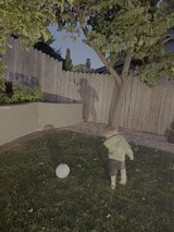 Child Playing with Ball in Backyard
