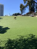 A Day at the Park