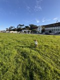 A Stroll Through Crissy Field, San Francisco