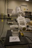 Robotic Companion