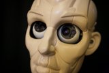 Metallic-Clad Robot Gaze