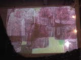Pink Wall Projection