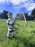 Wesley's Day Out: Embracing Nature's Simplicity