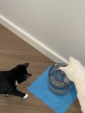 Playtime in the Design Studio