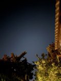 Nocturnal Serenity