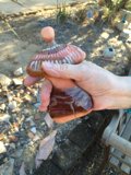 Hand Holding Mysterious Object