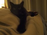 Resting in Comfort