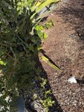 A Stroll Through Nature's Details