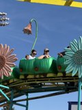 Thrills in Bloom: Roller Coaster Fun