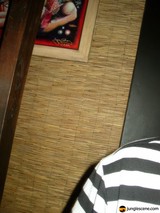Stripes in Wood
