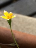 Beauty in Unexpected Places