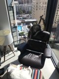 Feline Lounging in LA Living Room