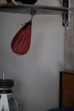 Red Knockout