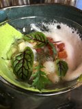 Herb-infused Dish with Green Sauce