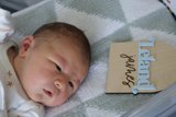 Welcome to the World, Leland James