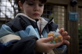 Young Boy Examining Small Toy Dinosaur Outdoors