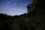 Serenity in Tilden Park, California