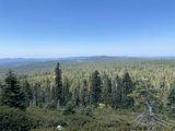 Majestic Mountain view amidst the Woodlands